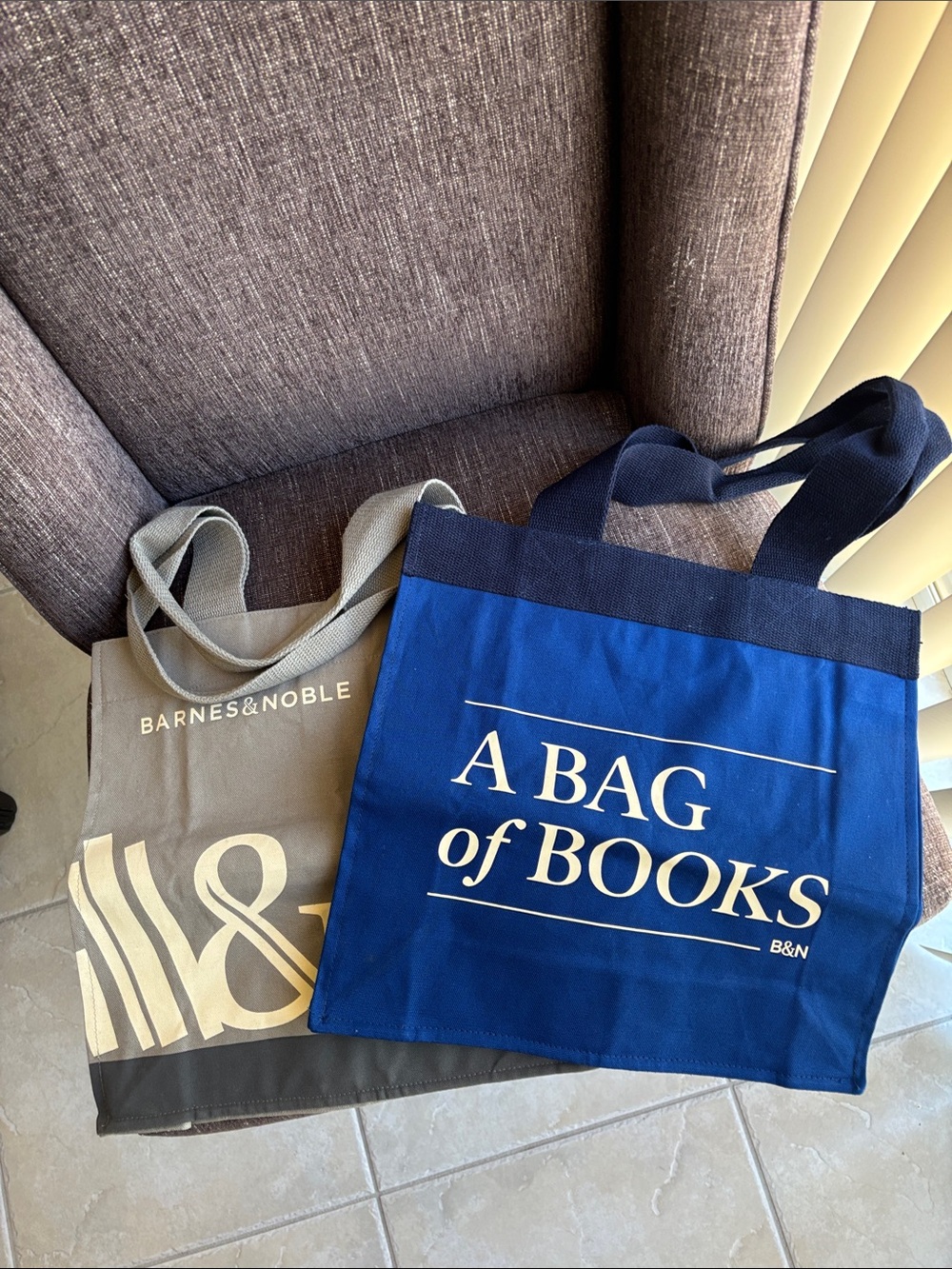 Barnes & Noble Book Canvas Totes Set of 2 Near New Condition Grey Blue